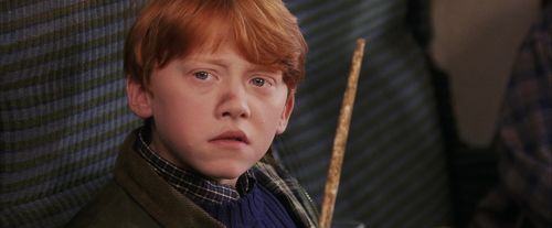 Click to view full size image
==============
PF-Potterish_03122.jpg PF-Potterish_03122.jpg