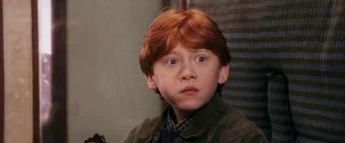 PF-Potterish_03181.jpg