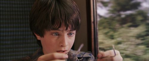Click to view full size image
==============
PF-Potterish_03184.jpg PF-Potterish_03184.jpg