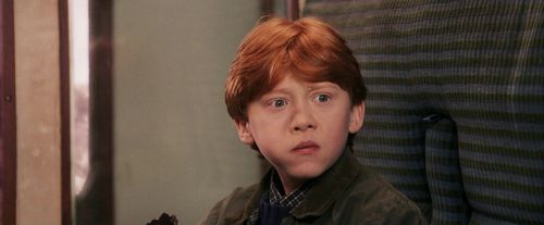 PF-Potterish_03186.jpg