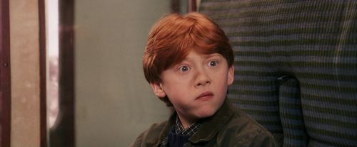 Click to view full size image
==============
PF-Potterish_03187.jpg PF-Potterish_03187.jpg