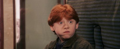 PF-Potterish_03188.jpg