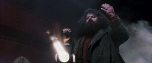 Click to view full size image
==============
PF-Potterish_03247.jpg PF-Potterish_03247.jpg