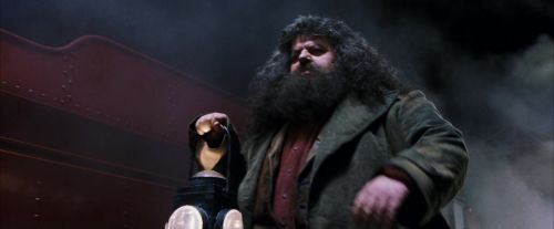 PF-Potterish_03251.jpg