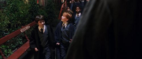 PF-Potterish_03266.jpg