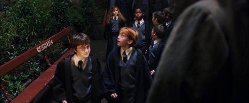 PF-Potterish_03267.jpg