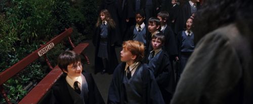 Click to view full size image
==============
PF-Potterish_03268.jpg PF-Potterish_03268.jpg