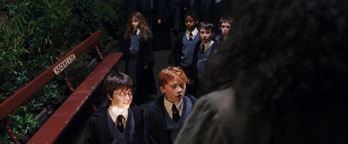 PF-Potterish_03269.jpg
