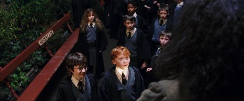 Click to view full size image
==============
PF-Potterish_03272.jpg PF-Potterish_03272.jpg