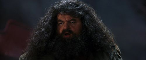 Click to view full size image
==============
PF-Potterish_03274.jpg PF-Potterish_03274.jpg