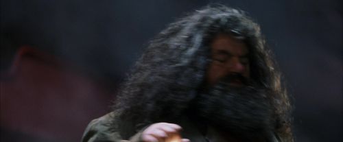 PF-Potterish_03275.jpg