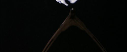 PF-Potterish_03281.jpg