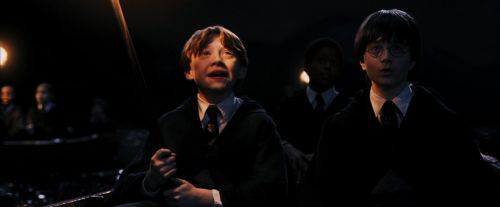 PF-Potterish_03343.jpg