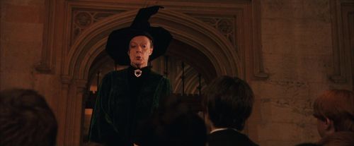 PF-Potterish_03428.jpg