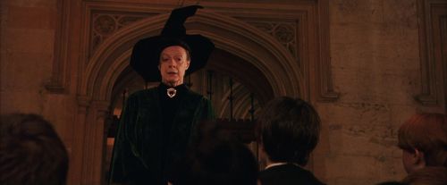 PF-Potterish_03429.jpg