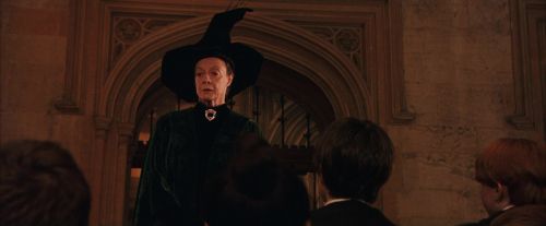 PF-Potterish_03432.jpg
