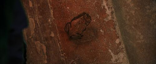 Click to view full size image
==============
PF-Potterish_03445.jpg PF-Potterish_03445.jpg
