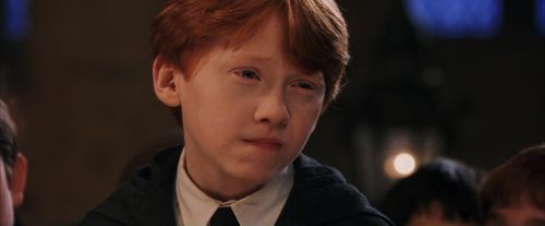 PF-Potterish_03495.jpg