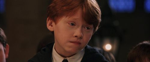PF-Potterish_03497.jpg