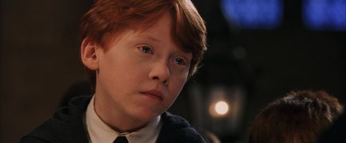 PF-Potterish_03504.jpg