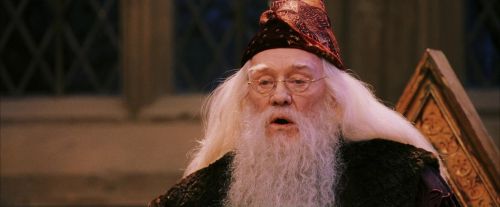 PF-Potterish_03633.jpg