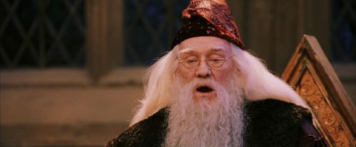 PF-Potterish_03634.jpg