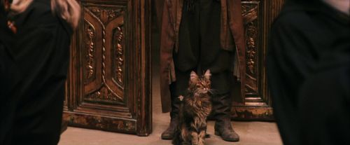 PF-Potterish_03644.jpg