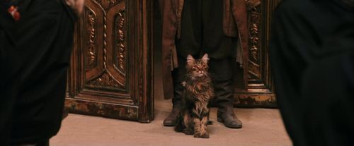 PF-Potterish_03645.jpg