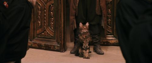 PF-Potterish_03646.jpg
