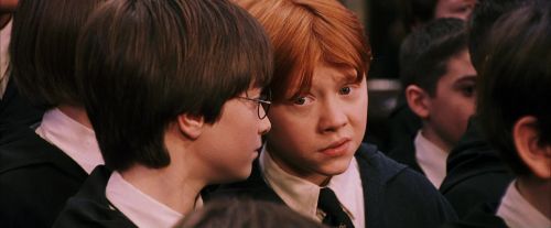 PF-Potterish_03691.jpg