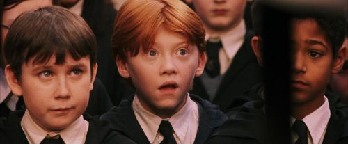 PF-Potterish_03780.jpg