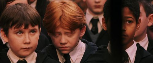 PF-Potterish_03783.jpg