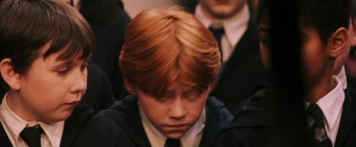 PF-Potterish_03784.jpg