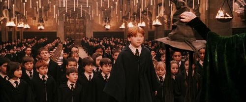 PF-Potterish_03789.jpg