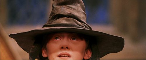 PF-Potterish_03811.jpg