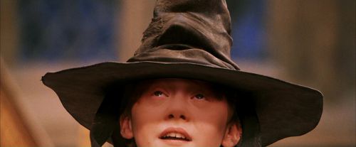 PF-Potterish_03812.jpg