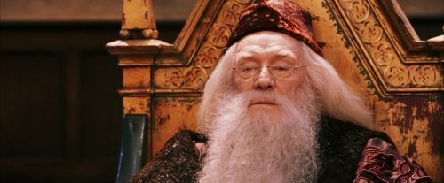 PF-Potterish_03824.jpg