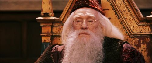 PF-Potterish_03825.jpg