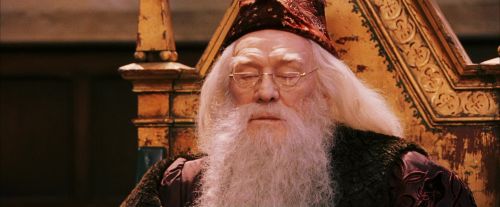 PF-Potterish_03826.jpg