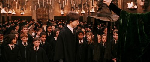 PF-Potterish_03839.jpg