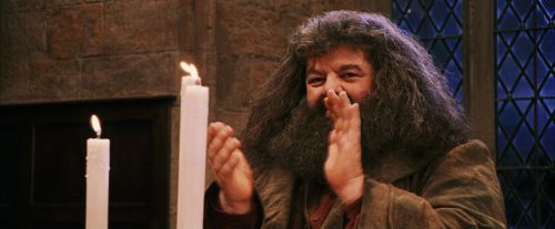 PF-Potterish_03918.jpg