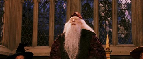 PF-Potterish_03955.jpg