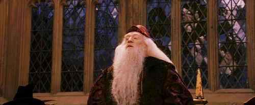 PF-Potterish_03956.jpg