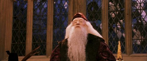 PF-Potterish_03957.jpg