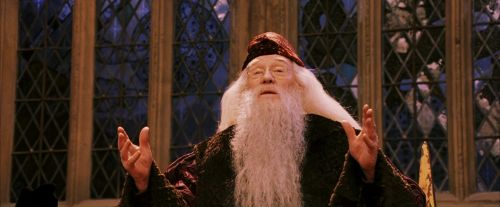 Click to view full size image
==============
PF-Potterish_03959.jpg PF-Potterish_03959.jpg
