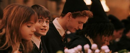 PF-Potterish_04008.jpg