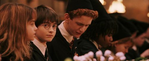 PF-Potterish_04011.jpg
