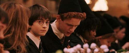 PF-Potterish_04012.jpg