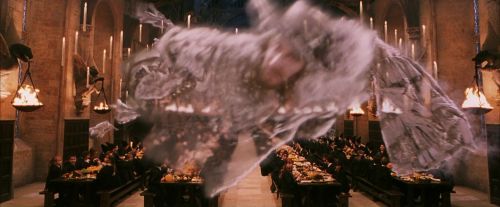 Click to view full size image
==============
PF-Potterish_04054.jpg PF-Potterish_04054.jpg