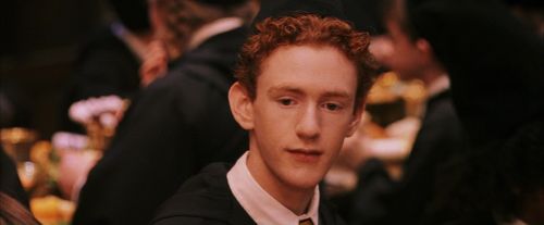 PF-Potterish_04058.jpg